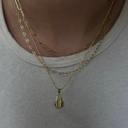 Cowrie Necklace - EVRYJEWELS